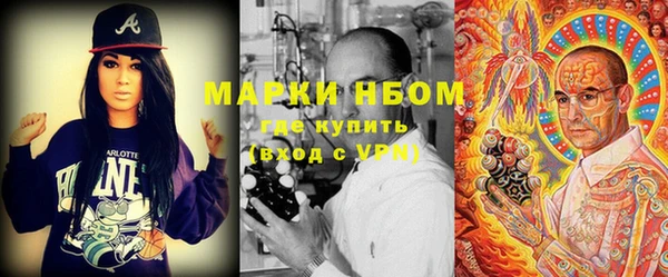 мет Елабуга