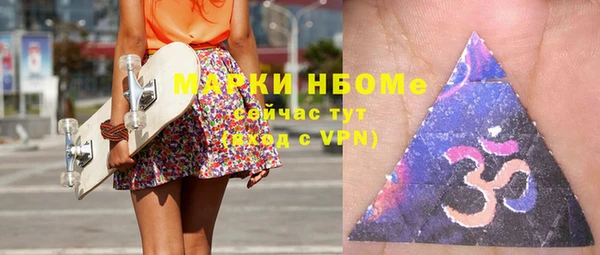 мет Елабуга