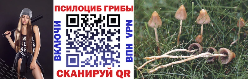 mega как зайти  Галич  Галлюциногенные грибы прущие грибы 