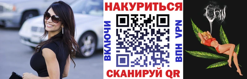 Канабис планчик  Галич 